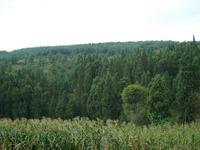 尼錄自然村 尼錄自然村