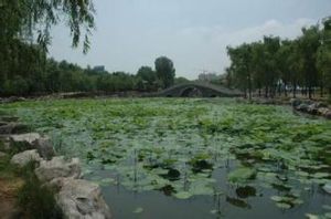 鹿獐山公園 鹿獐山公園