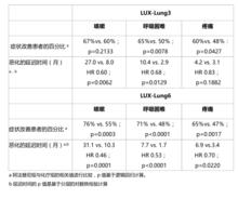 馬來酸阿法替尼片