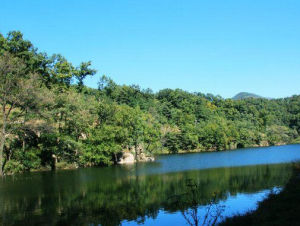 藥鄉國家森林公園 藥鄉國家森林公園