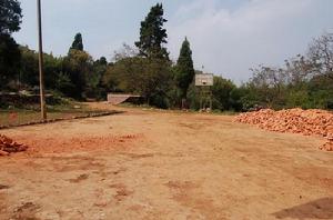 龍多上寨村的道路