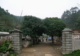 梧州地震台青少年科技教育基地 梧州地震台青少年科技教育基地