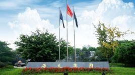 中國海天集團 中國海天集團