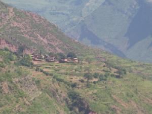 魯期村:村莊概況