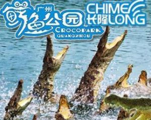 廣州鱷魚公園 廣州鱷魚公園