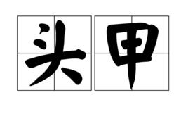頭甲 頭甲