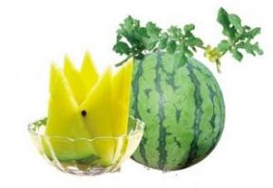 江蘇東台西瓜 江蘇東台西瓜