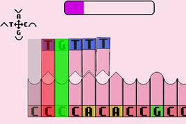 基因連結 基因連結