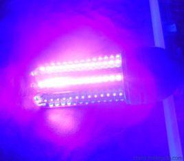 紫外LED 紫外LED