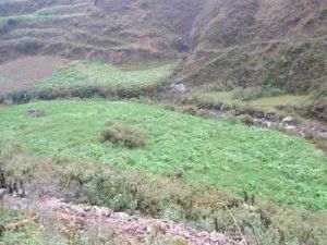 上二荒箐自然村 上二荒箐自然村