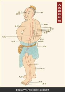 十四經脈