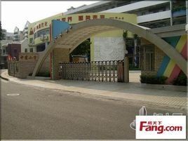 中星國小 中星國小