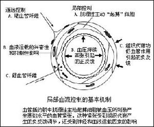 （圖）神經遞質