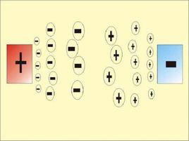 電泳分離 電泳分離