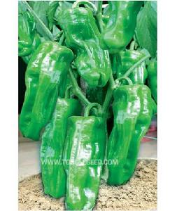 珍貴椒王 珍貴椒王