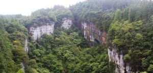 大雲山國家森林公園