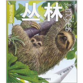 透視與發現:叢林 透視與發現:叢林