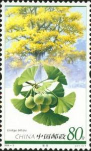 2006-5 孑遺植物(T) 2006-5 孑遺植物(T)