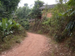 老葉寨自然村 老葉寨自然村