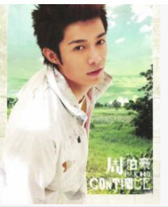 傻小子[詞語解釋]