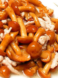 滑子菇燴海鮮 滑子菇燴海鮮