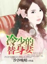 冷少的替身妻 冷少的替身妻