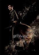 哈利&middot;波特與火焰杯[英美2005年邁克&middot;紐維執導電影]