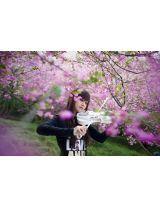 那年櫻花樹盛開 那年櫻花樹盛開