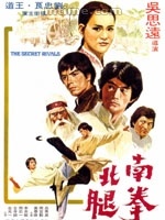 《南拳北腿》
