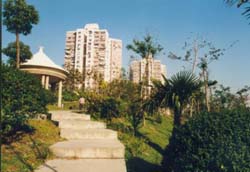 上海真光公園 上海真光公園