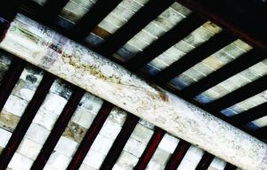 紫金庵內的彩繪橫樑