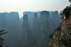 五女拜帥 五女拜帥