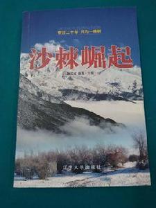 沙棘崛起 沙棘崛起