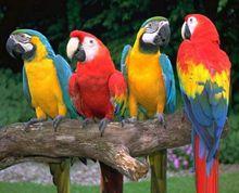 開封東京極地海洋館