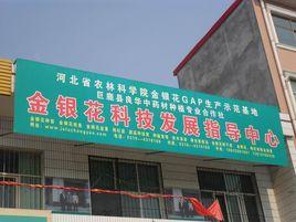 巨鹿縣良華中藥材種植專業合作社 巨鹿縣良華中藥材種植專業合作社