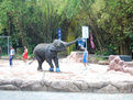 民丹島大象公園