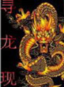 尋龍現 尋龍現