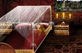 睡公主的房間 睡公主的房間