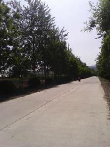 南大里鄉 南大里鄉