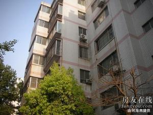 中建小區 中建小區