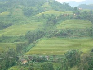 水落洞自然村 水落洞自然村