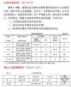 搖振反應 搖振反應