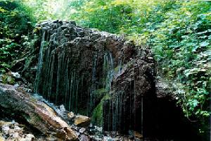 板橋自然保護區