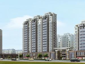 金龍盛世花園 金龍盛世花園