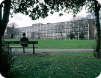 英國倫敦國王學院