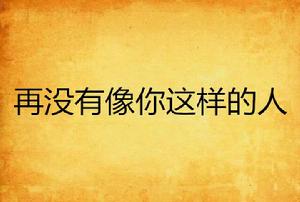 再沒有像你這樣的人 再沒有像你這樣的人