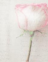 你為我心碎我為你等待 你為我心碎我為你等待