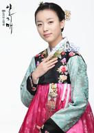 一枝梅[2008年李準基、韓孝周主演電視劇]