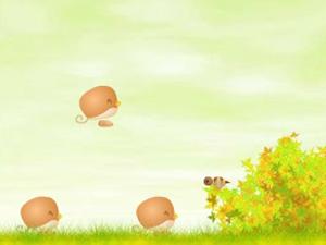 夏日漫步 夏日漫步