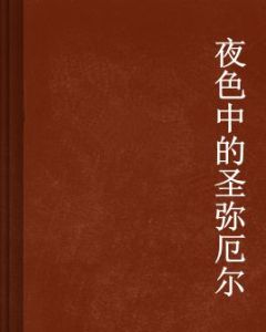 夜色中的聖彌厄爾 夜色中的聖彌厄爾